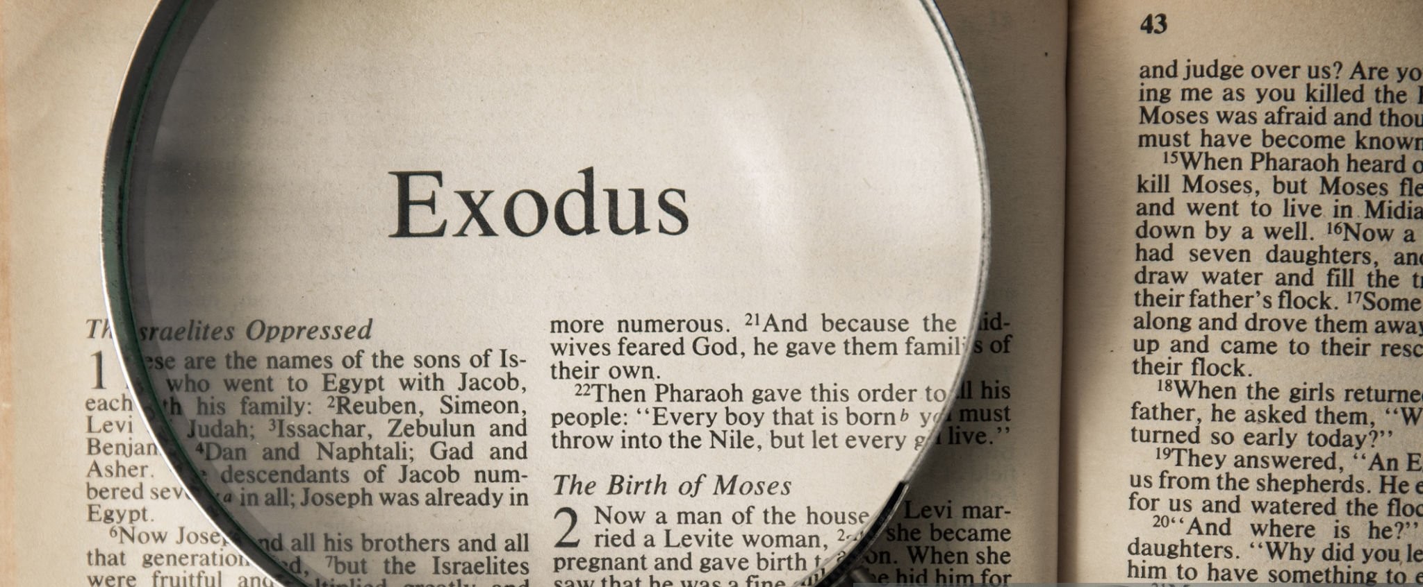 exodus pic 2